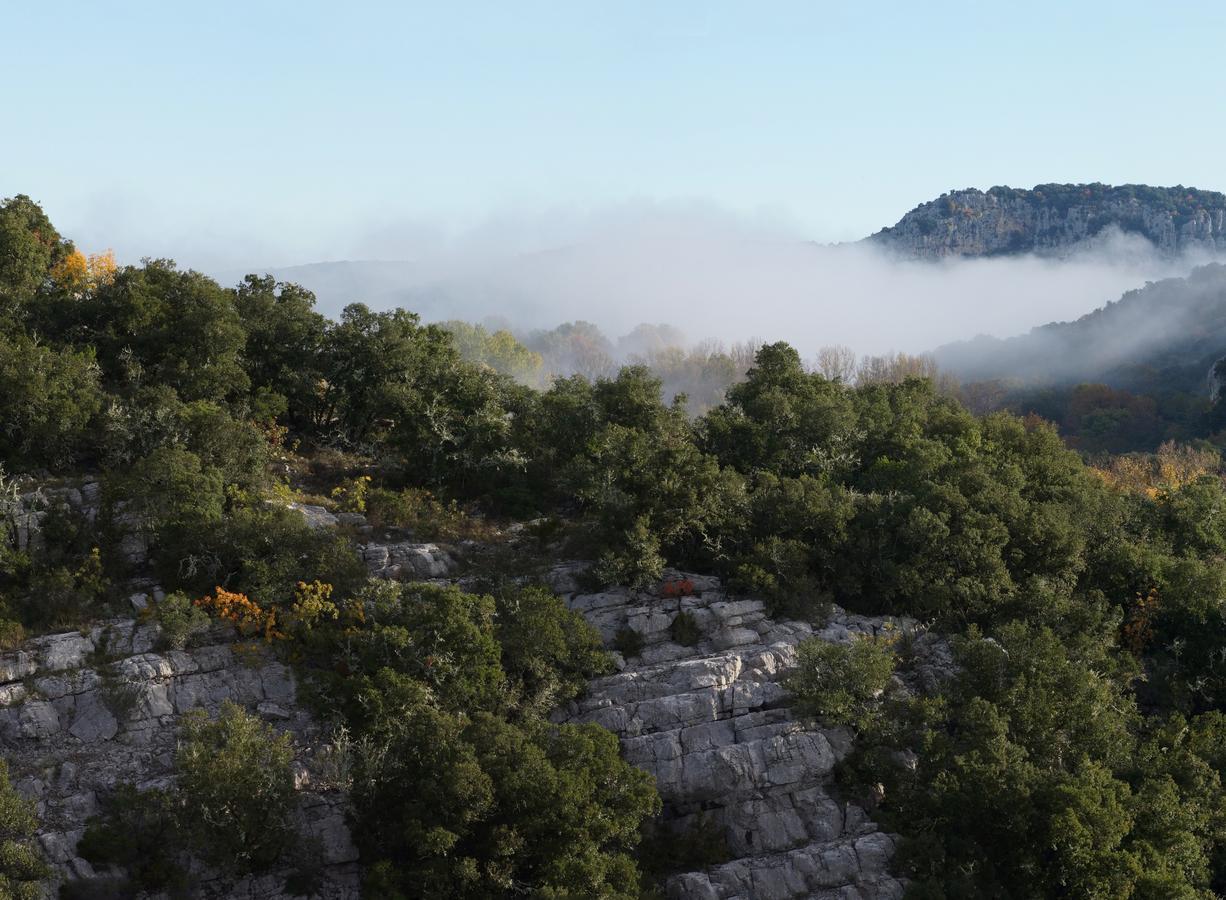 Les Hauts D'Issensac Causse-de-la-Selle Exteriér fotografie