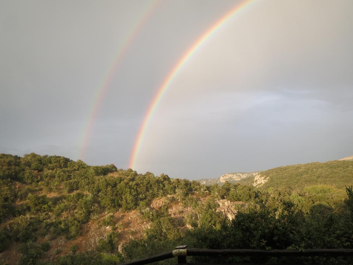 Les Hauts D'Issensac Causse-de-la-Selle Exteriér fotografie