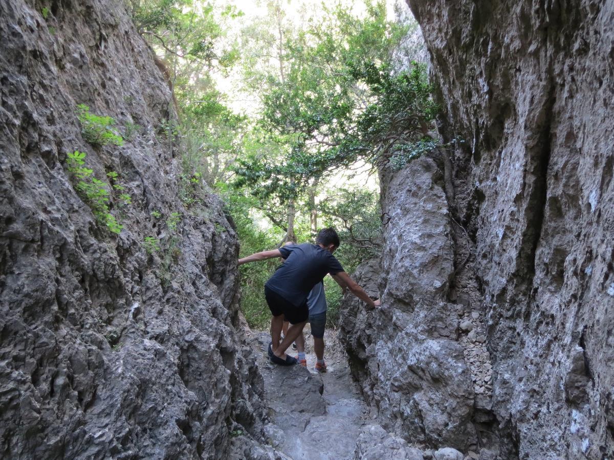 Les Hauts D'Issensac Causse-de-la-Selle Exteriér fotografie